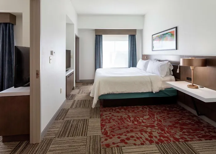 Hotel Hilton Garden Minneapolis/bloomington