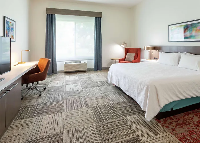 Hotel Hilton Garden Minneapolis/bloomington Bloomington